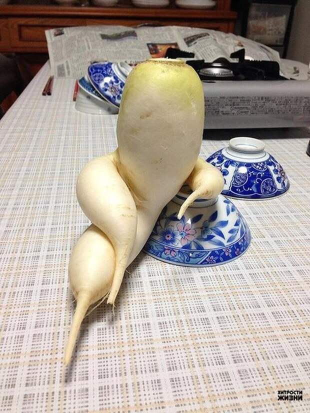Овощи, забывшие, что они растения