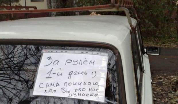 автоюмор