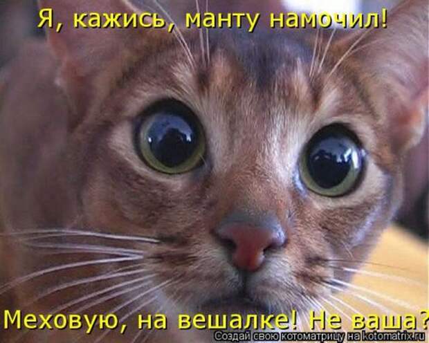 Мысли вслух :)