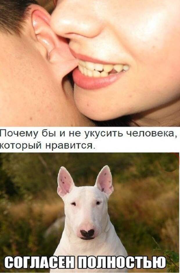 Разнообразная подборка =) Улыбок! Разнообразная подборка =) Улыбок!