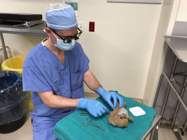 Хирург прооперировал плюшевого медведя, исполнив просьбу больного ребенка перед операцией