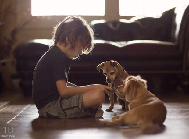 Поиграем? Автор фото: Джессика Дроссин (Jessica Drossin).
