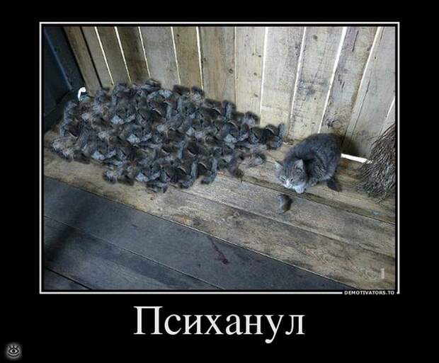 Спасибо женщинам за эволюцию! 32