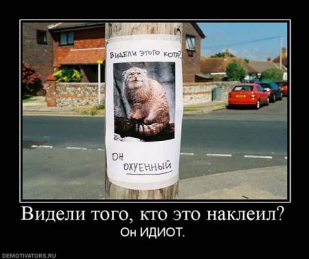 Разные смешные демотиваторы, новые приколы на фото.