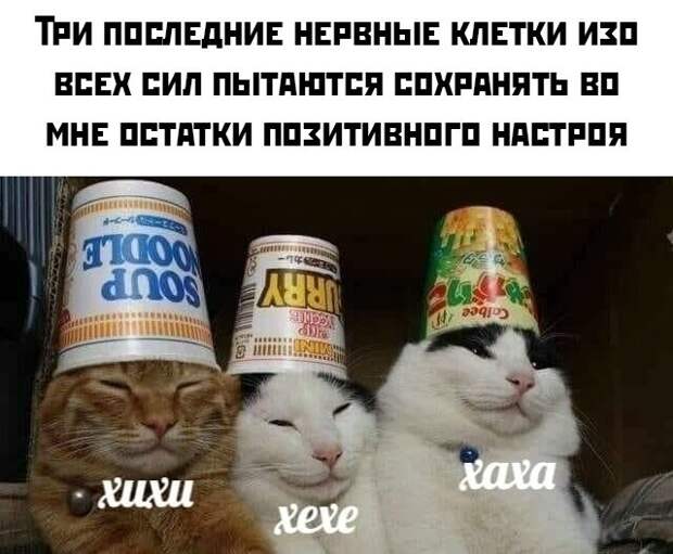 Три последние нервные клетки