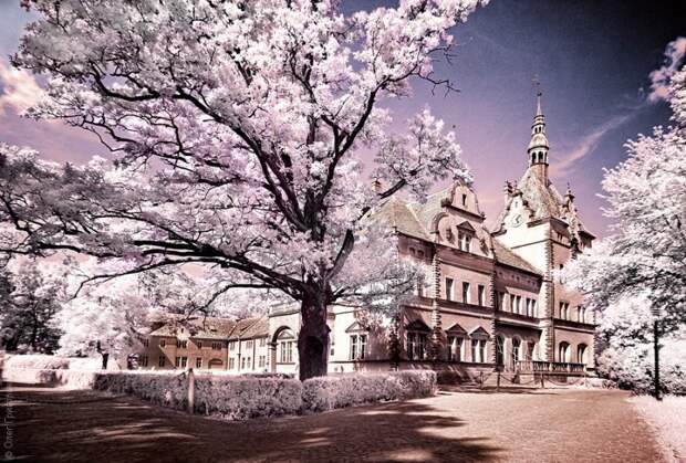 infrared06 800x541 Инфракрасная фотография от Олега Григорьева