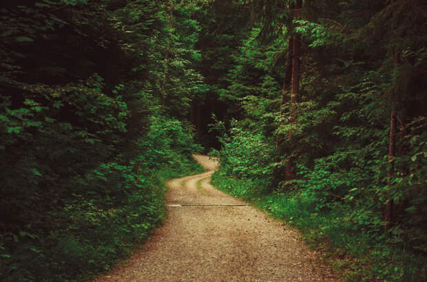 the path by Adrian Limani on 500px.com