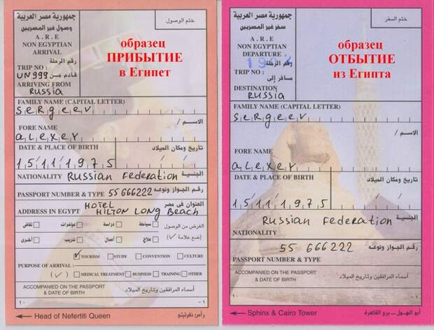 kak zapolnit visu obrazets