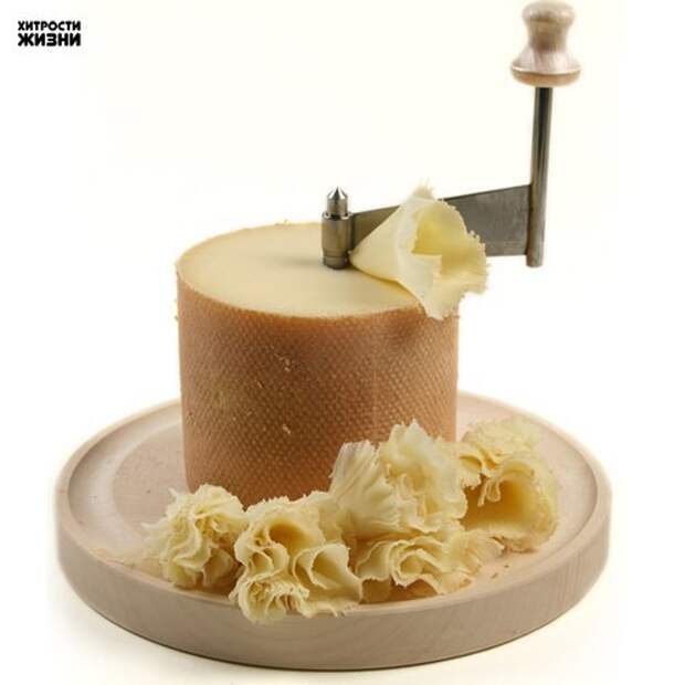 ТОП-10 самых вкуснейших сыров в мире, которые нужно попробовать: