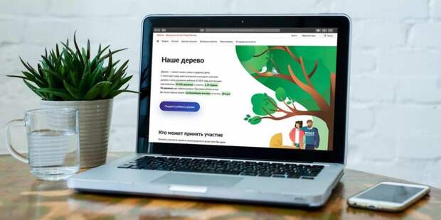 На проект «Наше дерево» подано более двух тысяч заявок/ фото: mos.ru