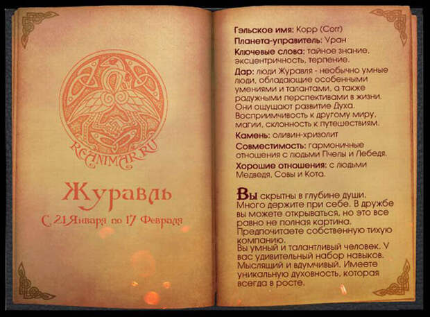 Кельтский гороскоп