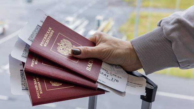 В Минэкономразвитии рассказали о работе над безвизом с Индией и Вьетнамом