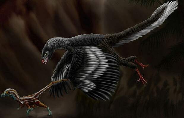 2. Самая древняя птица - протоавис животные, земля, наука, эволюция