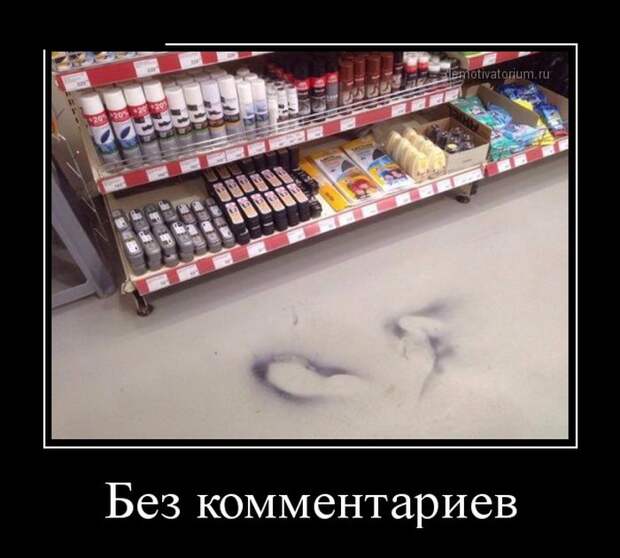 Демотиваторы (30 фото) Демотиваторы (30 фото)