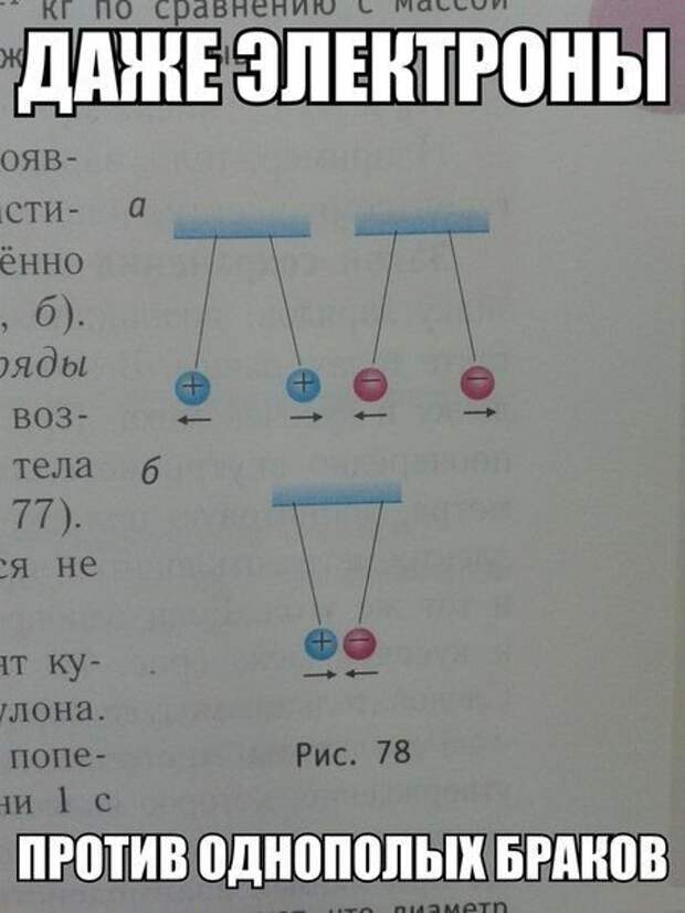 Новые приколы в картинках
