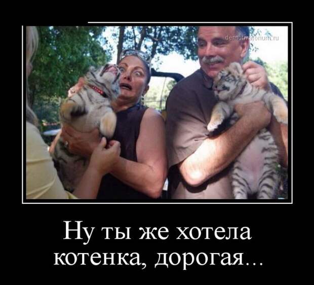 Демотиваторы (30 фото)