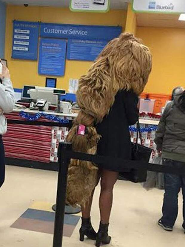 Walmart научит вас, как правильно наряжаться для похода в магазин Walmart научит вас, как правильно наряжаться для похода в магазин