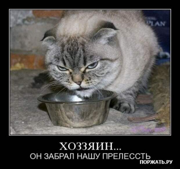 искали демотиваторы?