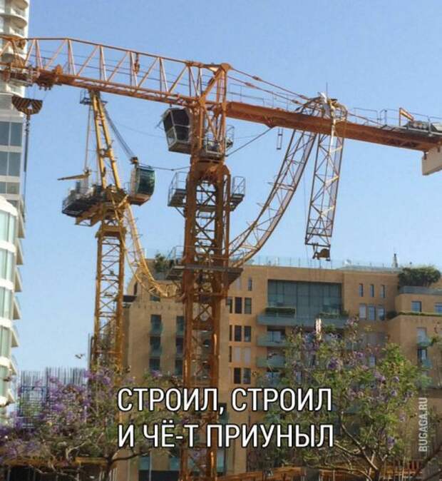 Прикольные картинки в ассортименте (50 шт)