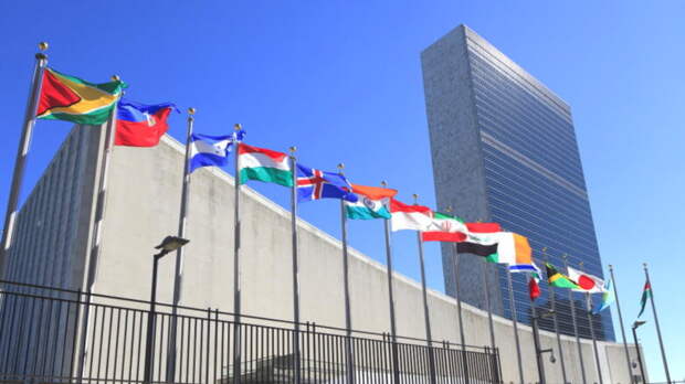 ООН призывает к борьбе с растущей исламофобией в Европе и США