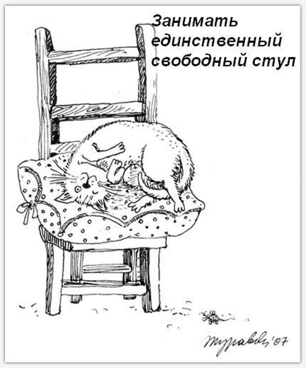 Обязанности кота по дому!