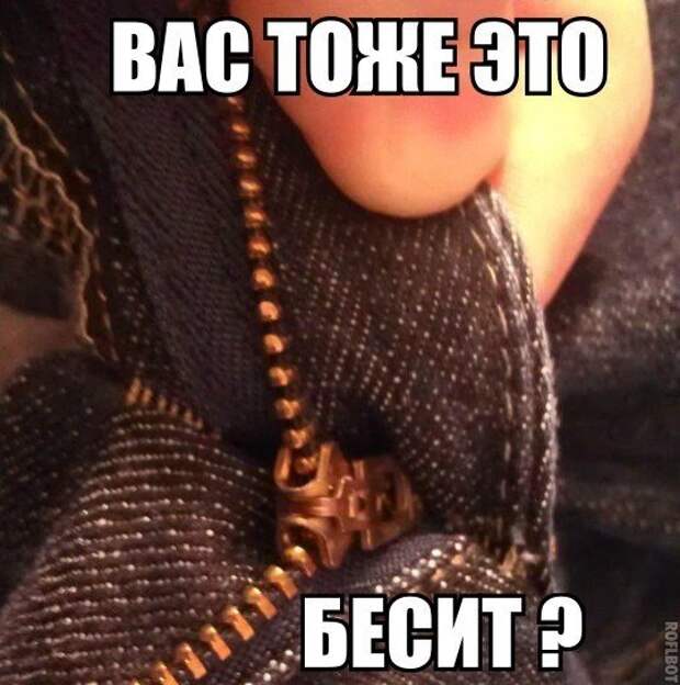 Смешные картинки с подписями катинки, прикол, юмор