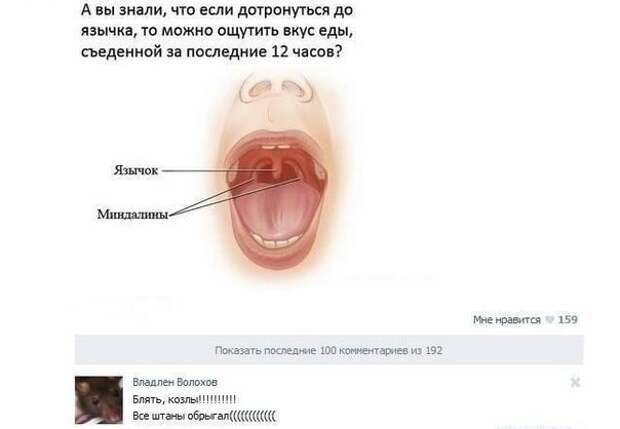 Смешные комментарии из социальных сетей комментарии, прикол, социальные сети
