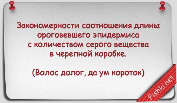 Русские пословицы и поговорки научным языком Русские пословицы и поговорки научным языком наука, поговорки, пословицы