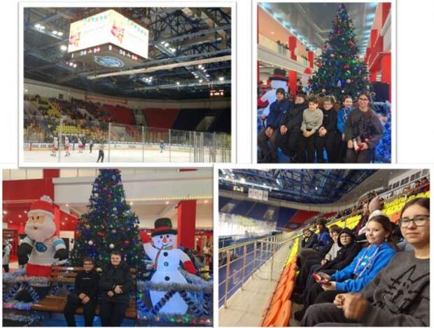 Посещение хоккейного матча.