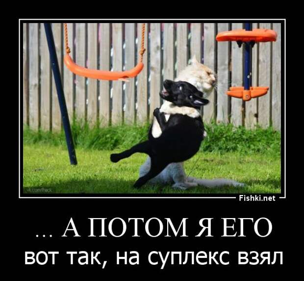 Демотиваторы демотиваторы, прикол, смех, юмор