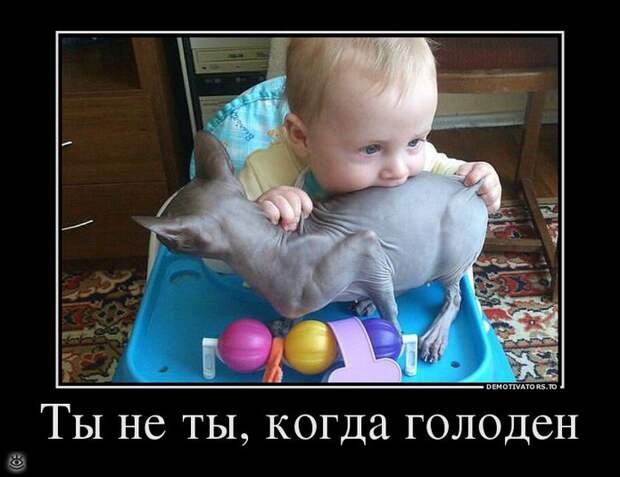 Нет денег - будь здоров! 28