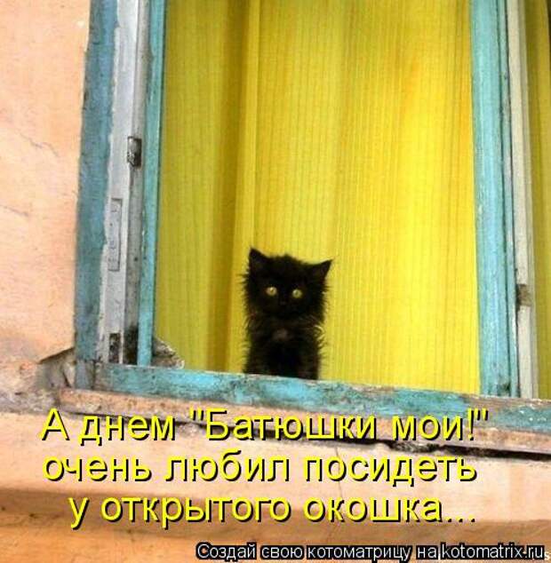 Котоматрица: А днем "Батюшки мои!" очень любил посидеть у открытого окошка...