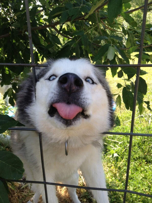 imgur.com