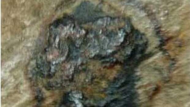 В бивнях мамонтов обнаружены следы планетарной катастрофы