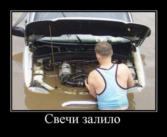 Демотиваторы  демотиваторы, прикол, смех, юмор
