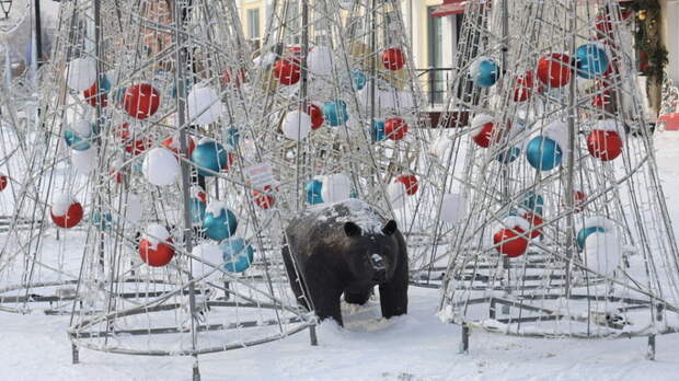 На Мало-Тобольской в Барнауле начали разбирать новогодний городок. Фото
