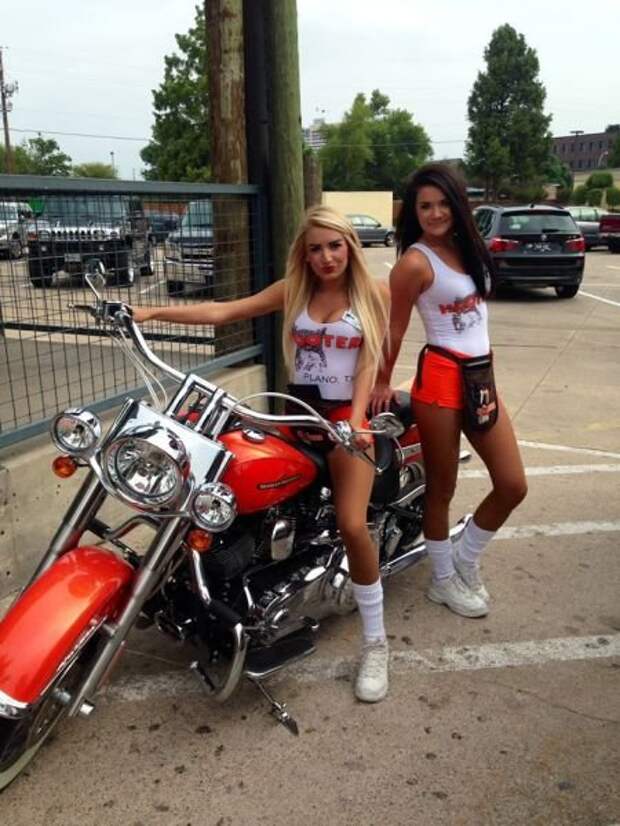 Девушки "Hooters" (28 фото)