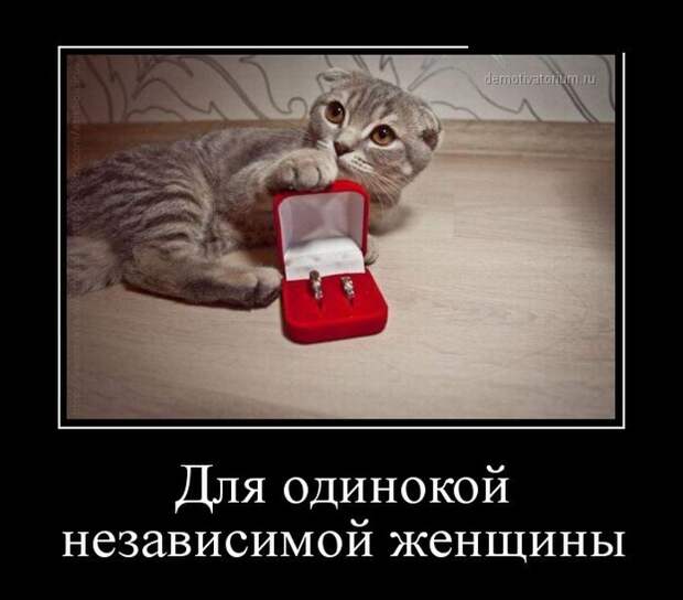 Демотиваторы. Наслаждайтесь!