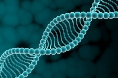 Ученые: ген шизофрении будут искать с младенчества