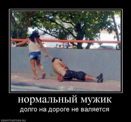 Смешные демотиваторы, классные фото.
