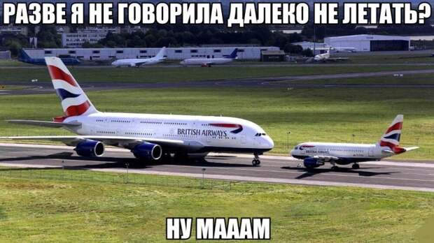 Смешные картинки с подписями катинки, прикол, юмор