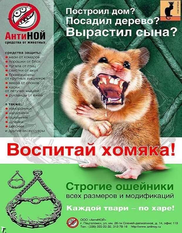 Прикольные надписи и обьявления надписи, объявления, юмор