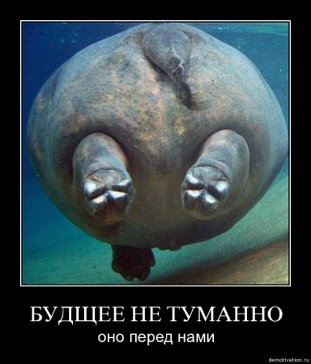 Смешные демы за неделю.