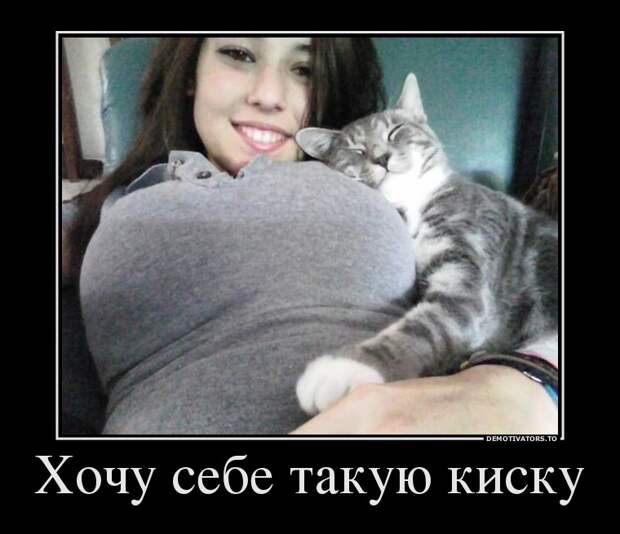 Демотиваторы демотиваторы