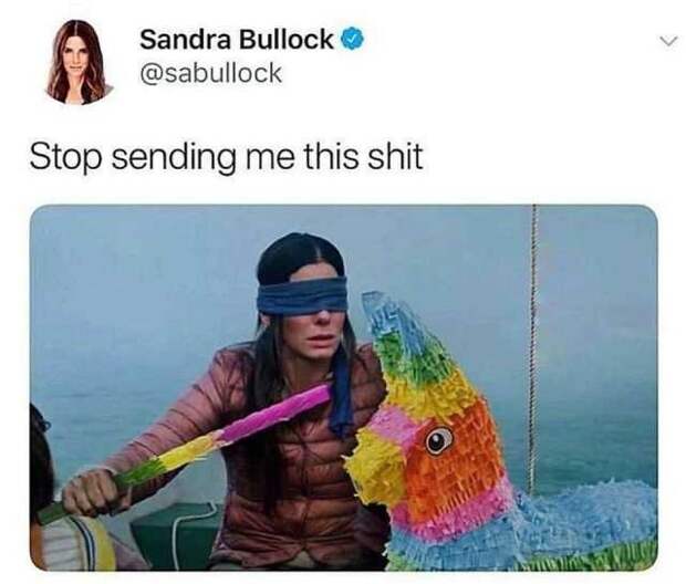 Bird Box meme