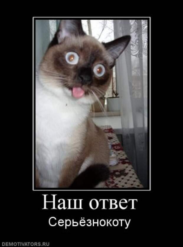 Демотиваторы, юмор и сатира, не смешных у нас не бывает.