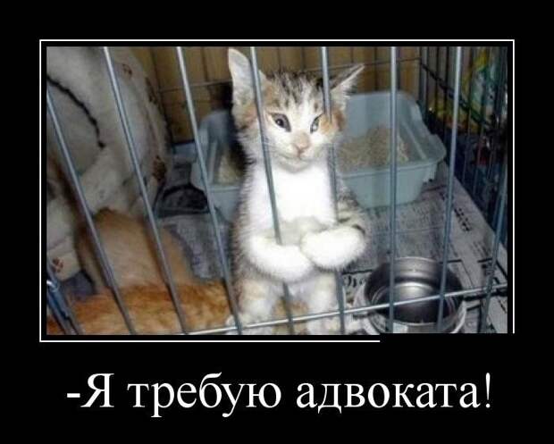Демотиваторы демотиваторы, прикол, смех, юмор