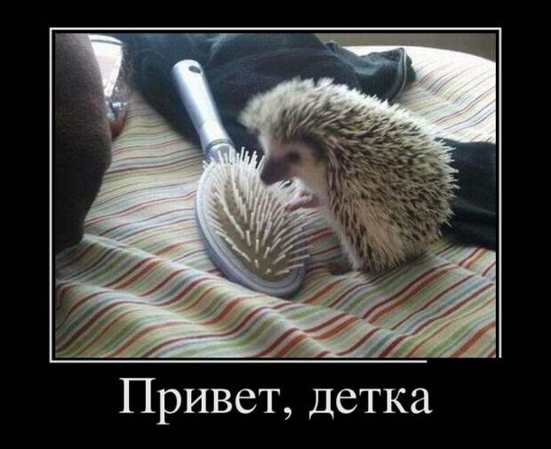 Демотиваторы (30 фото)