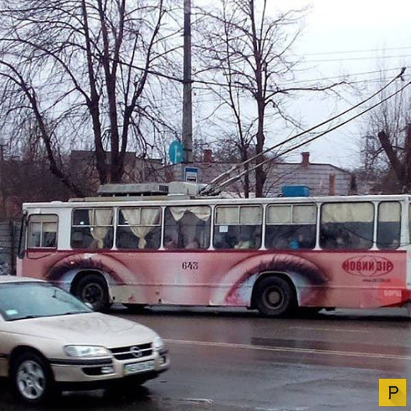 Новая подборка прикольных фотографий, часть 3 (124 фото)