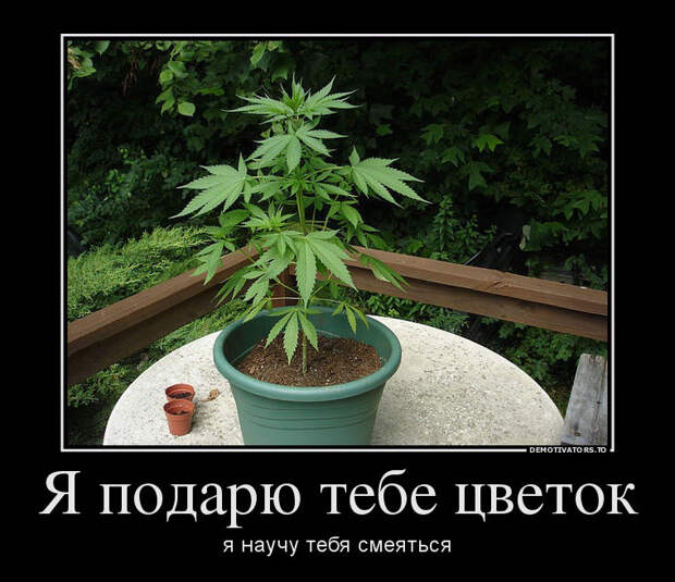 demotiv_016.jpg demotiv_016.jpg